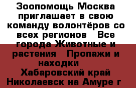 Зоопомощь.Москва приглашает в свою команду волонтёров со всех регионов - Все города Животные и растения » Пропажи и находки   . Хабаровский край,Николаевск-на-Амуре г.